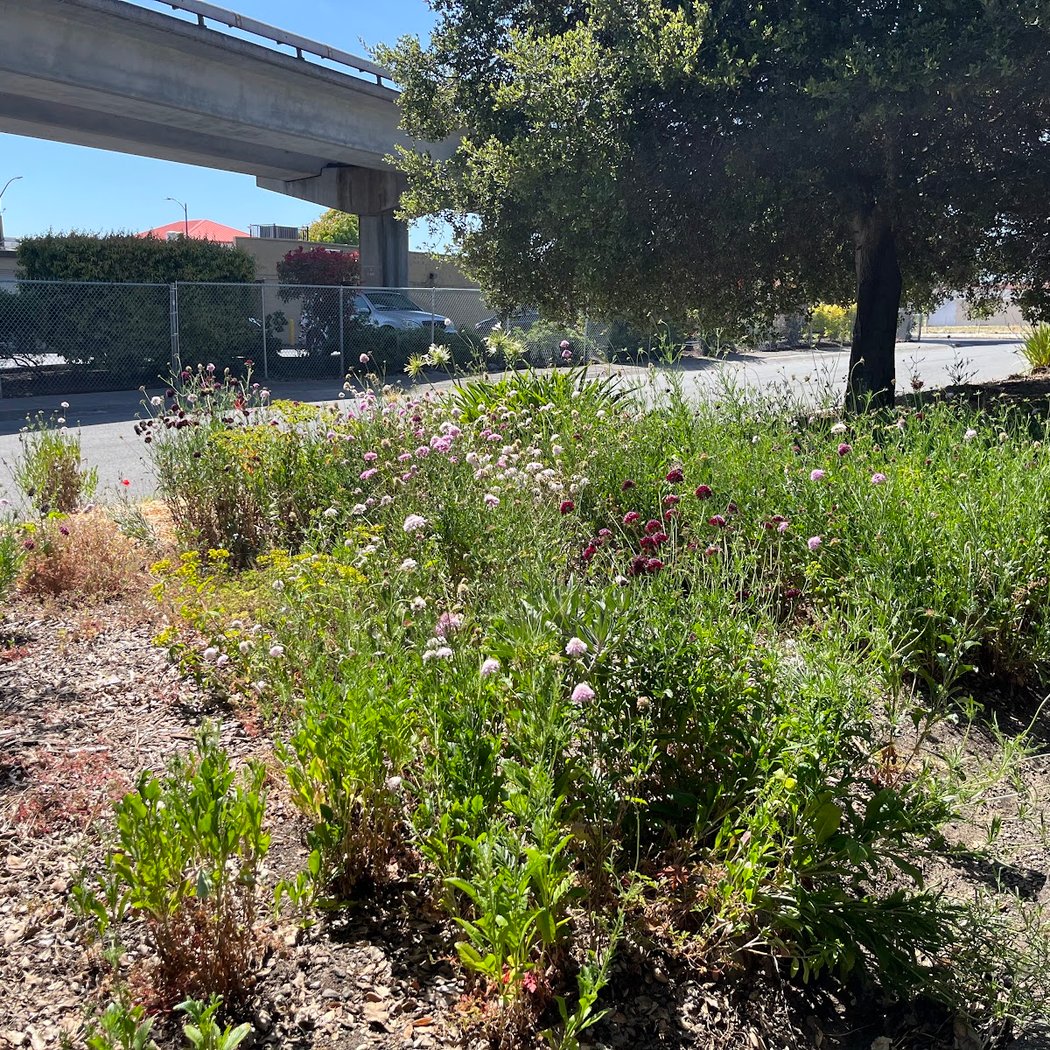 Baxter Creek Gateway Park 3