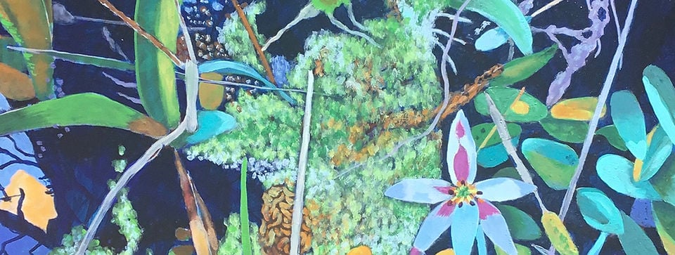 Oli Gallery 1