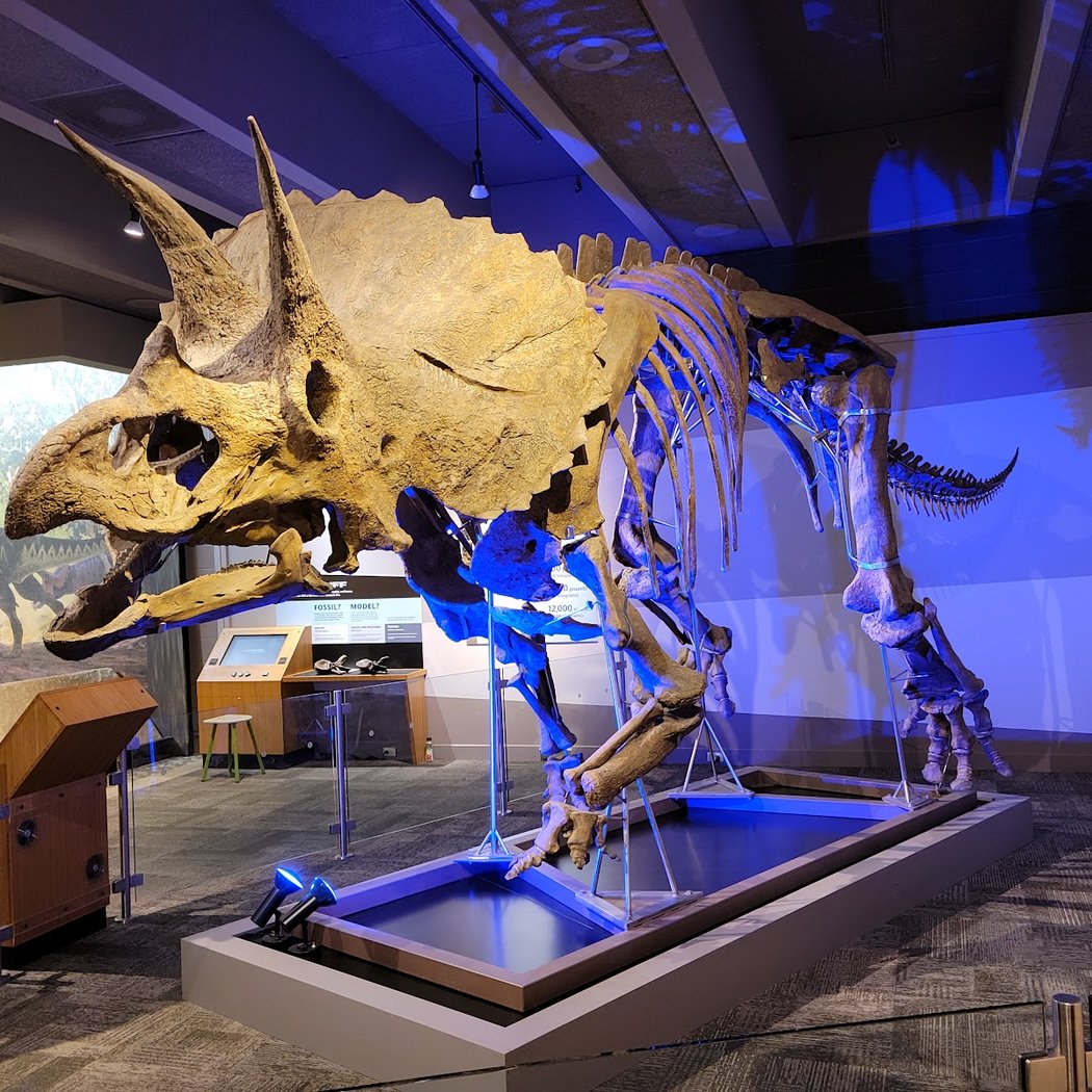 Museum of Science 3