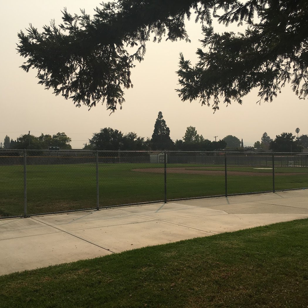 Cupertino Little League 1