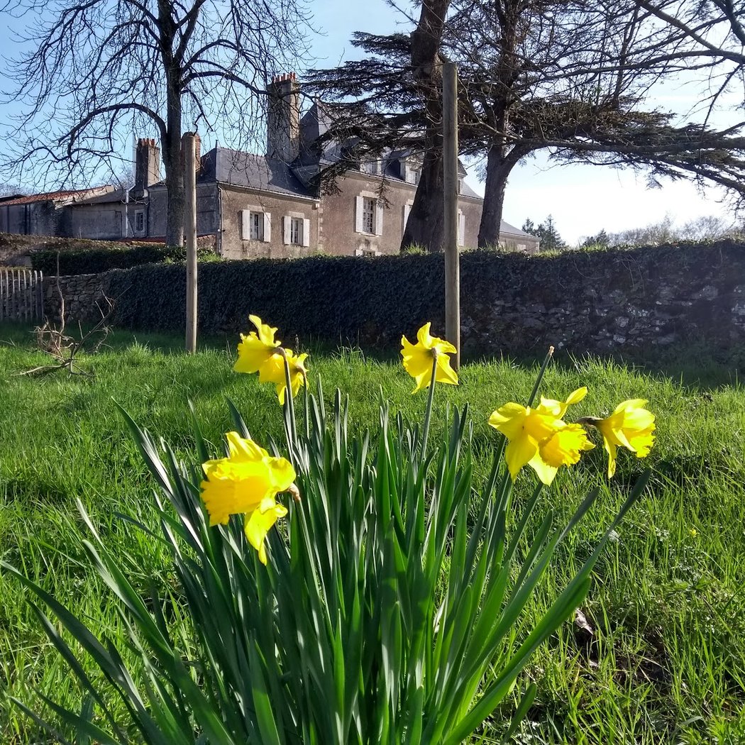 Château de la Mevellière 1