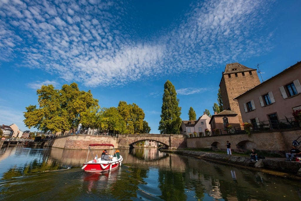 Marin D'Eau Douce Strasbourg 2