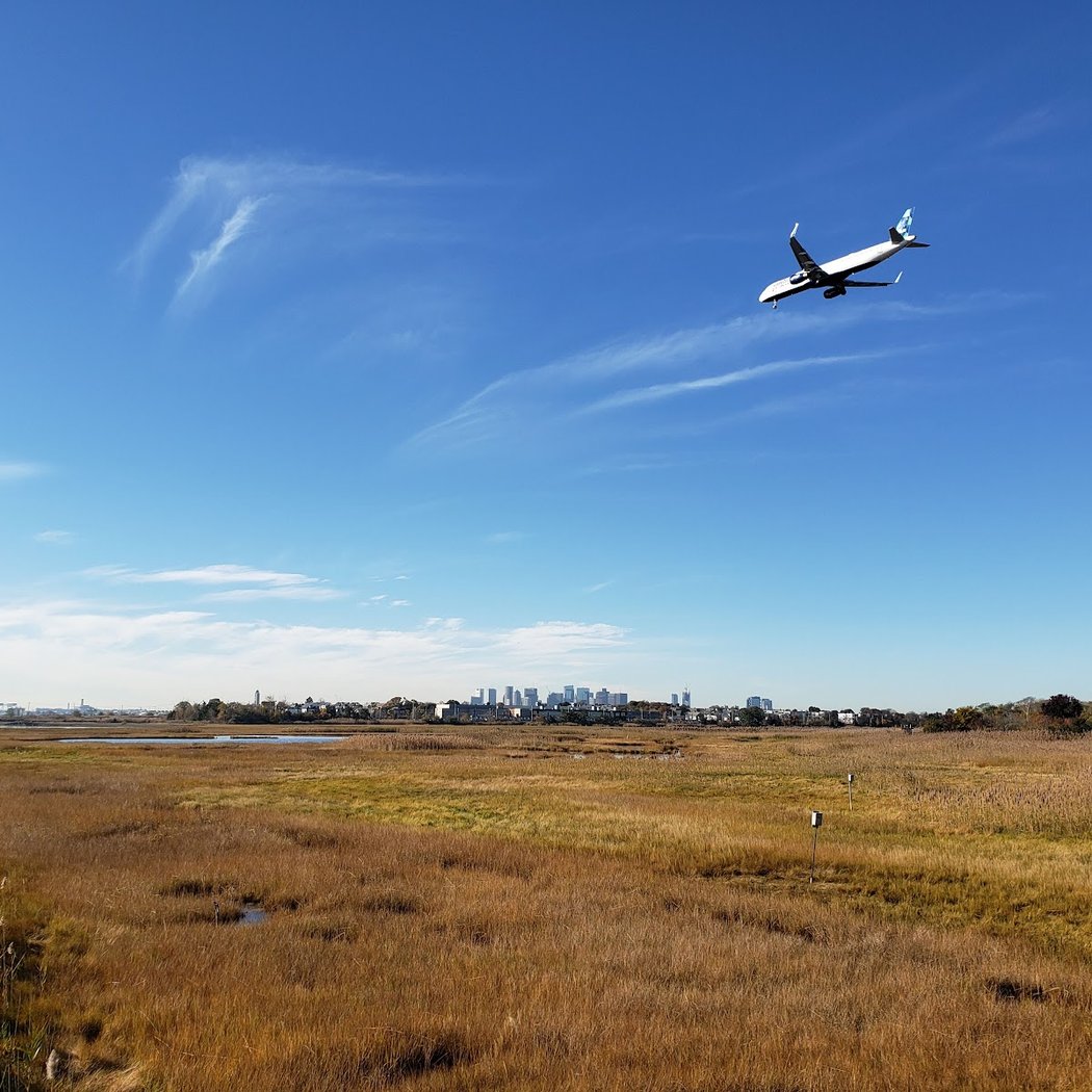 Belle Isle Marsh Reservation 2