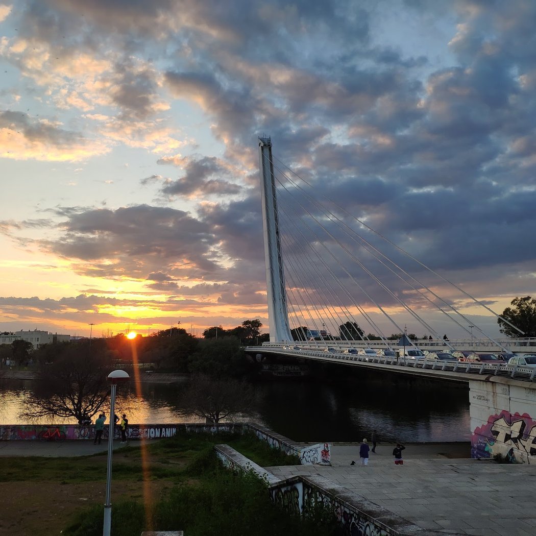 Veranillos en el Parque del Alamillo 3
