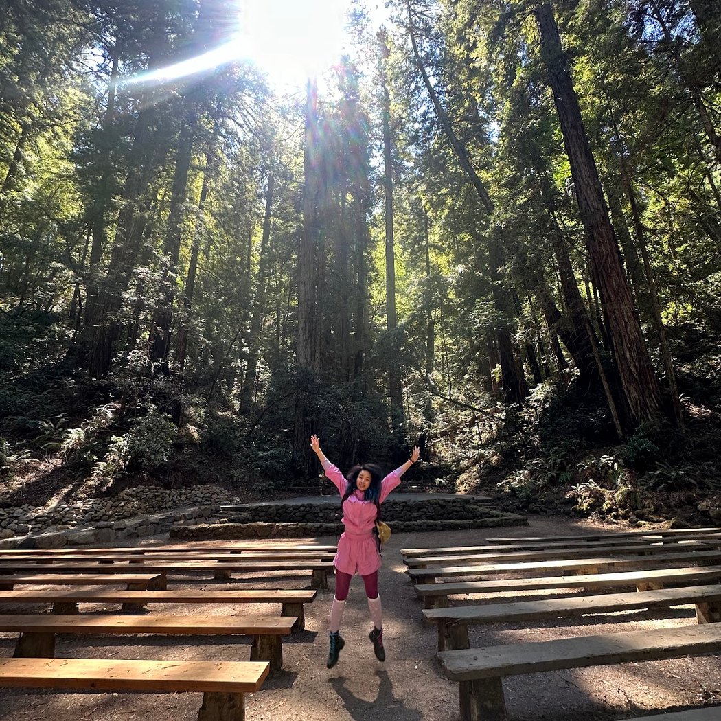 Redwood Forest Theater 1