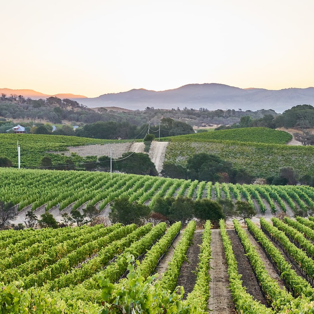 Napa County Farm Bureau April Mixer 2