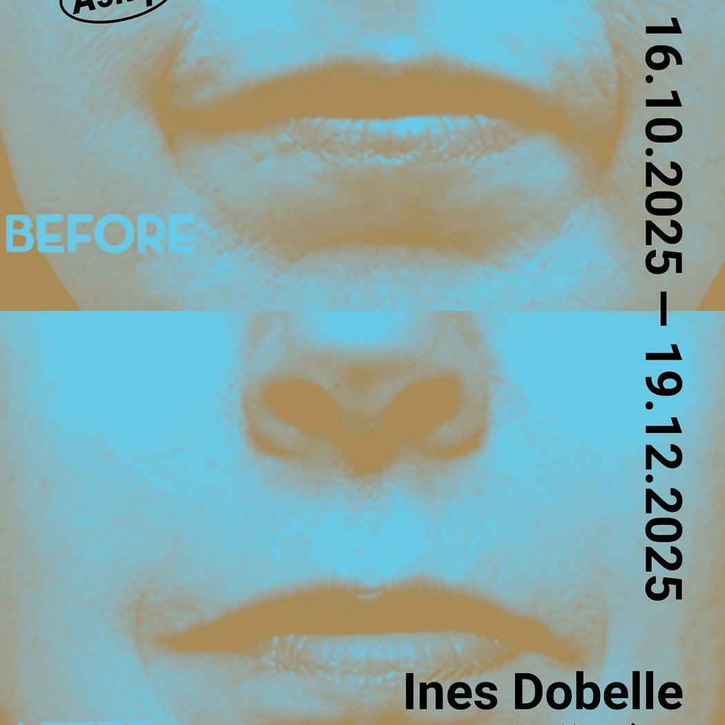 Exposition Ines Dobelle Collagène 1