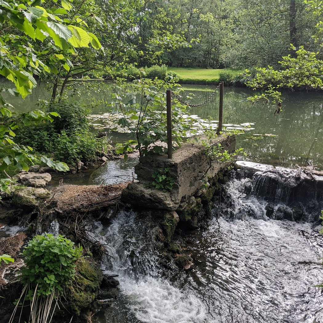 Bords de l'Yerres 4