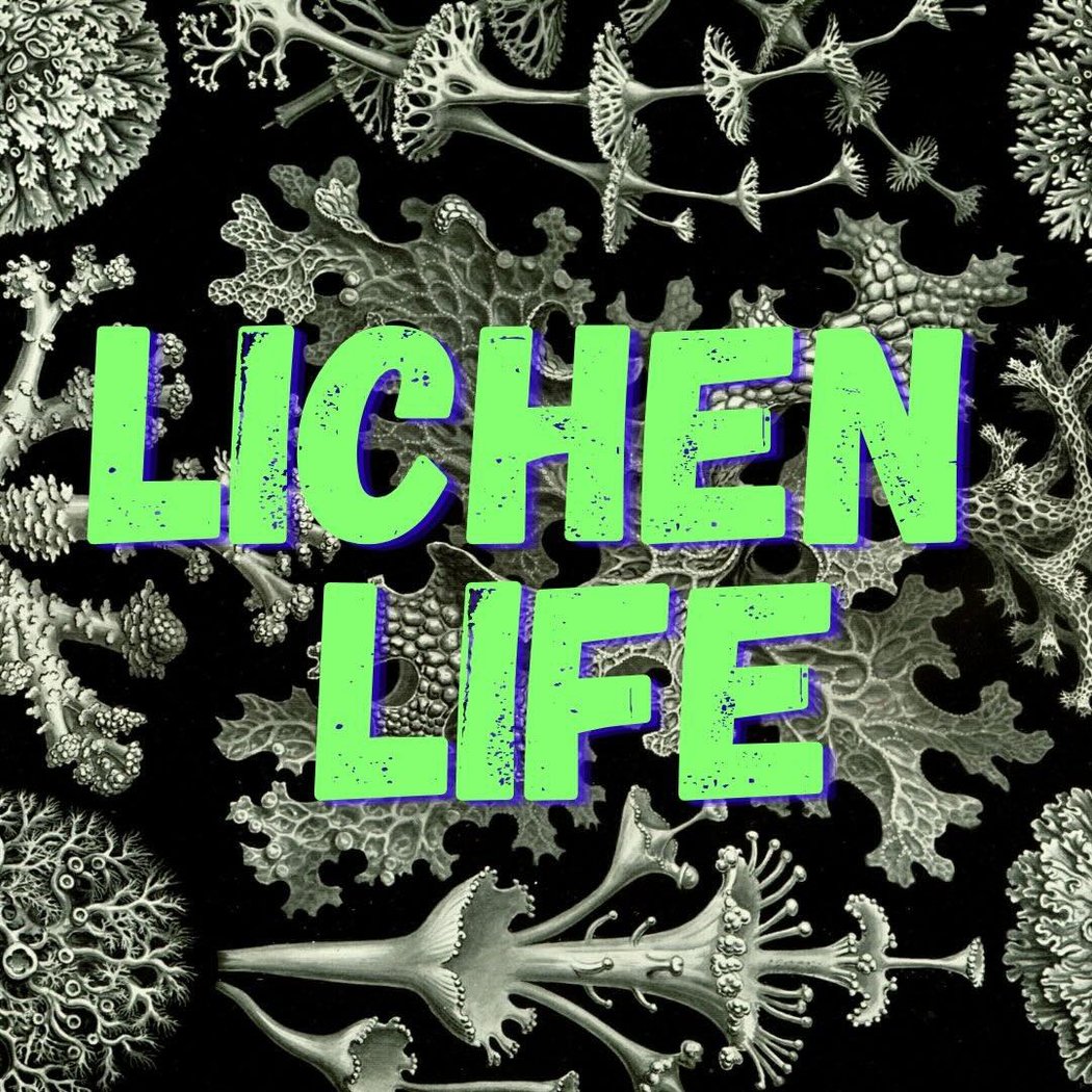 Workshop: "Lichen Life" with Zan Tomko 1