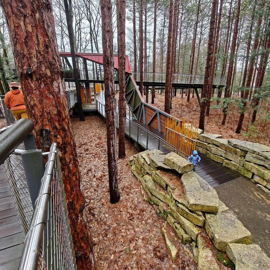 Dow Gardens Canopy Walk 3