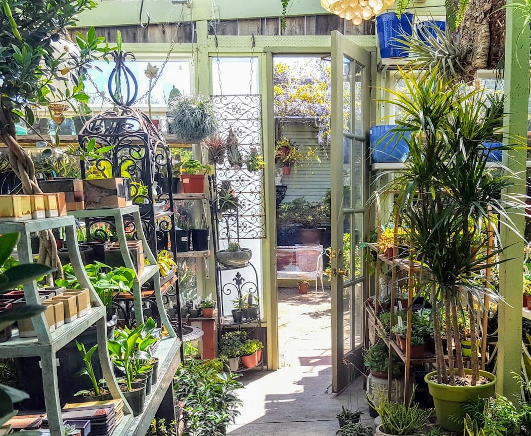 Clement Nursery 1