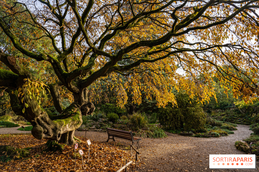 Jardin alpin 1