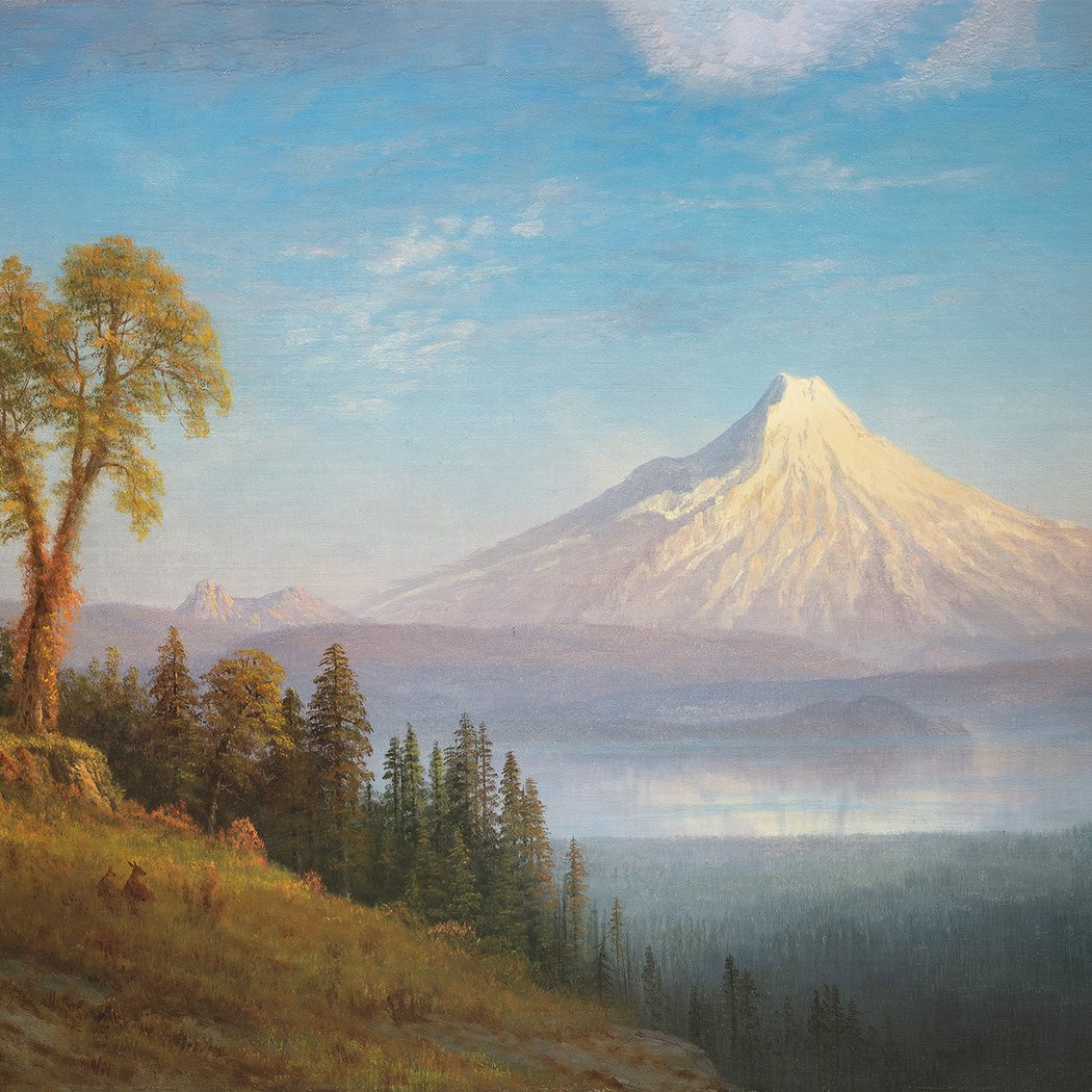 The Bierstadt Brothers: Painting and Photography 1