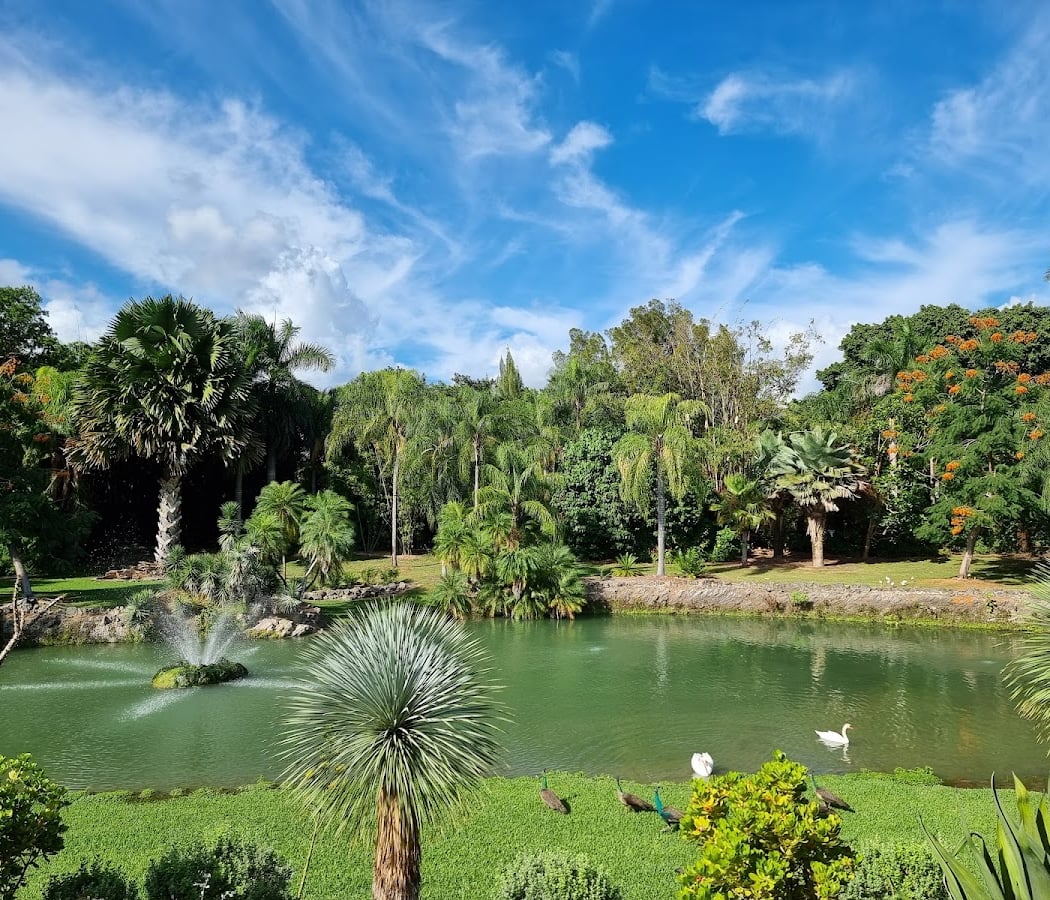 Dade Chapter Florida Native Plant Society 3