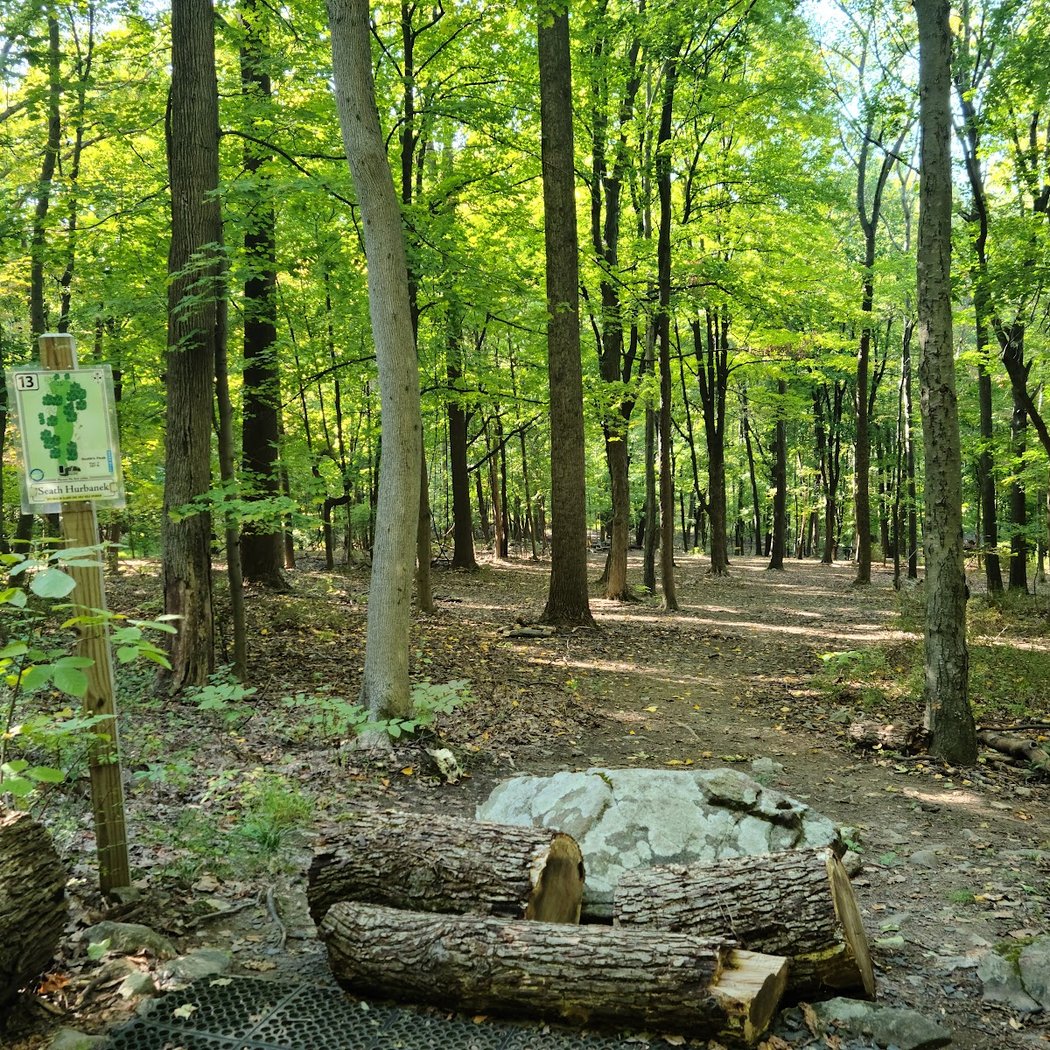 Beacon Glades Disc Golf 2