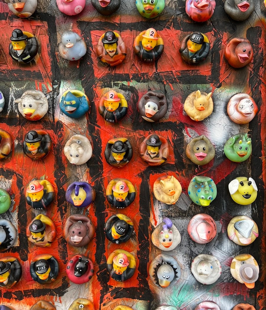 Duck Wall 3