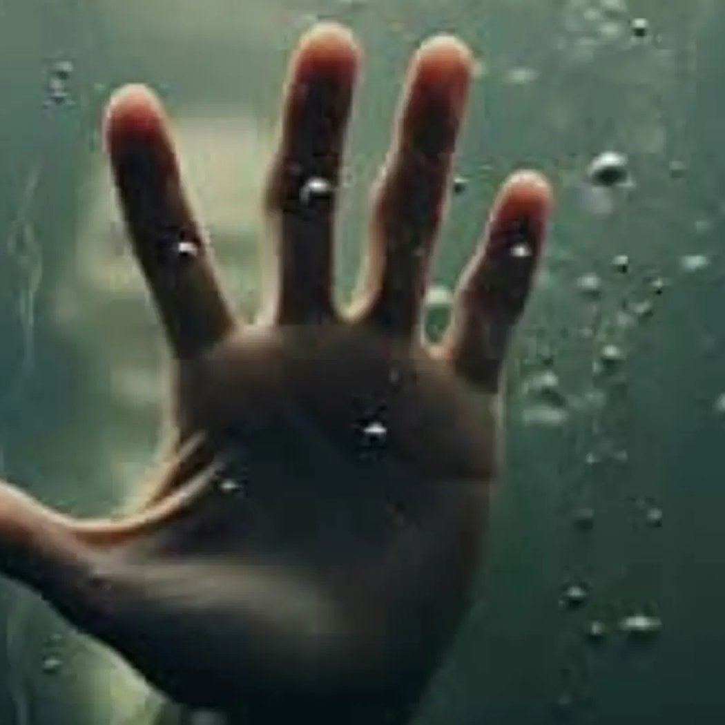 Documentaire from compassion to crime 1
