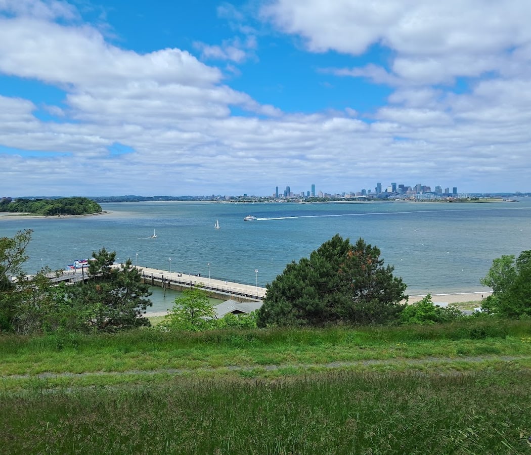 Spectacular Pollinators on Spectacle Island 1