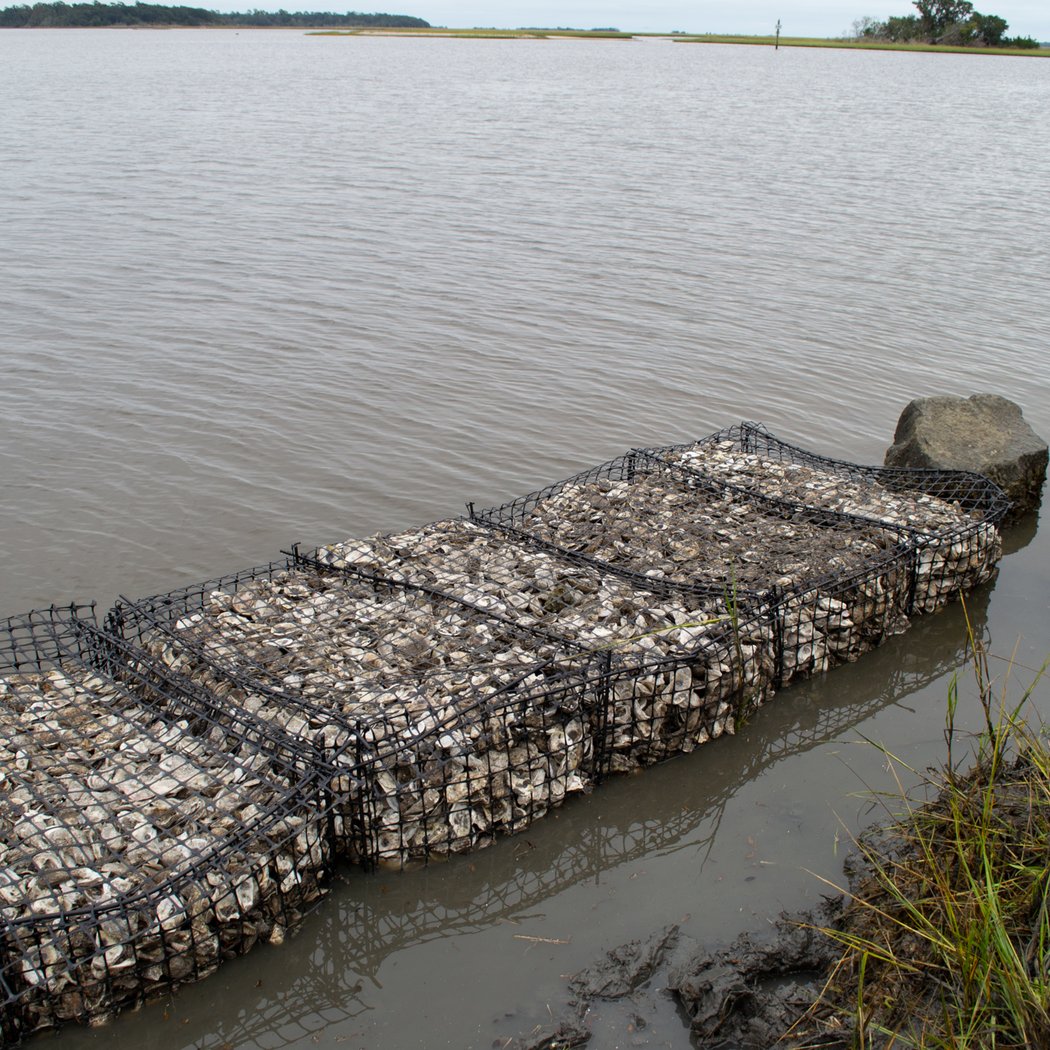 Oyster Shell Bagging Event 2