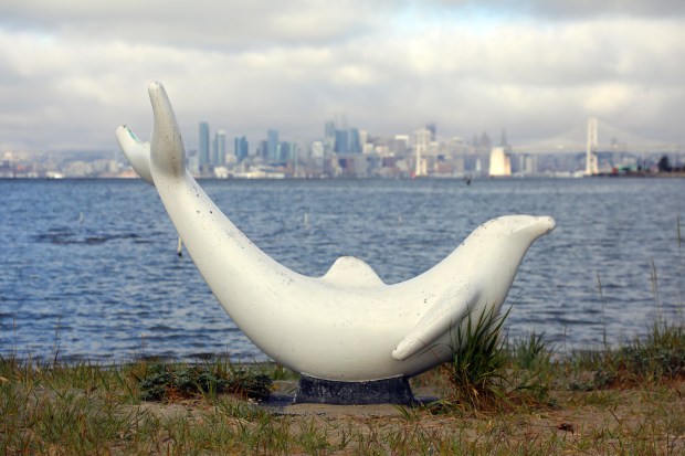 Middle Harbor Shoreline Park 3