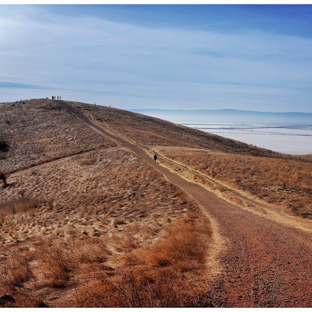Nature & Nourish: Trail Adventure at Coyote Hills 3