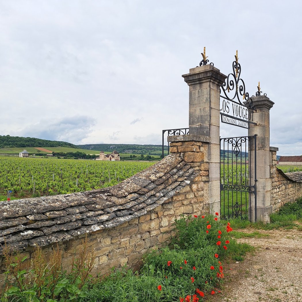 Côte de Nuits 3
