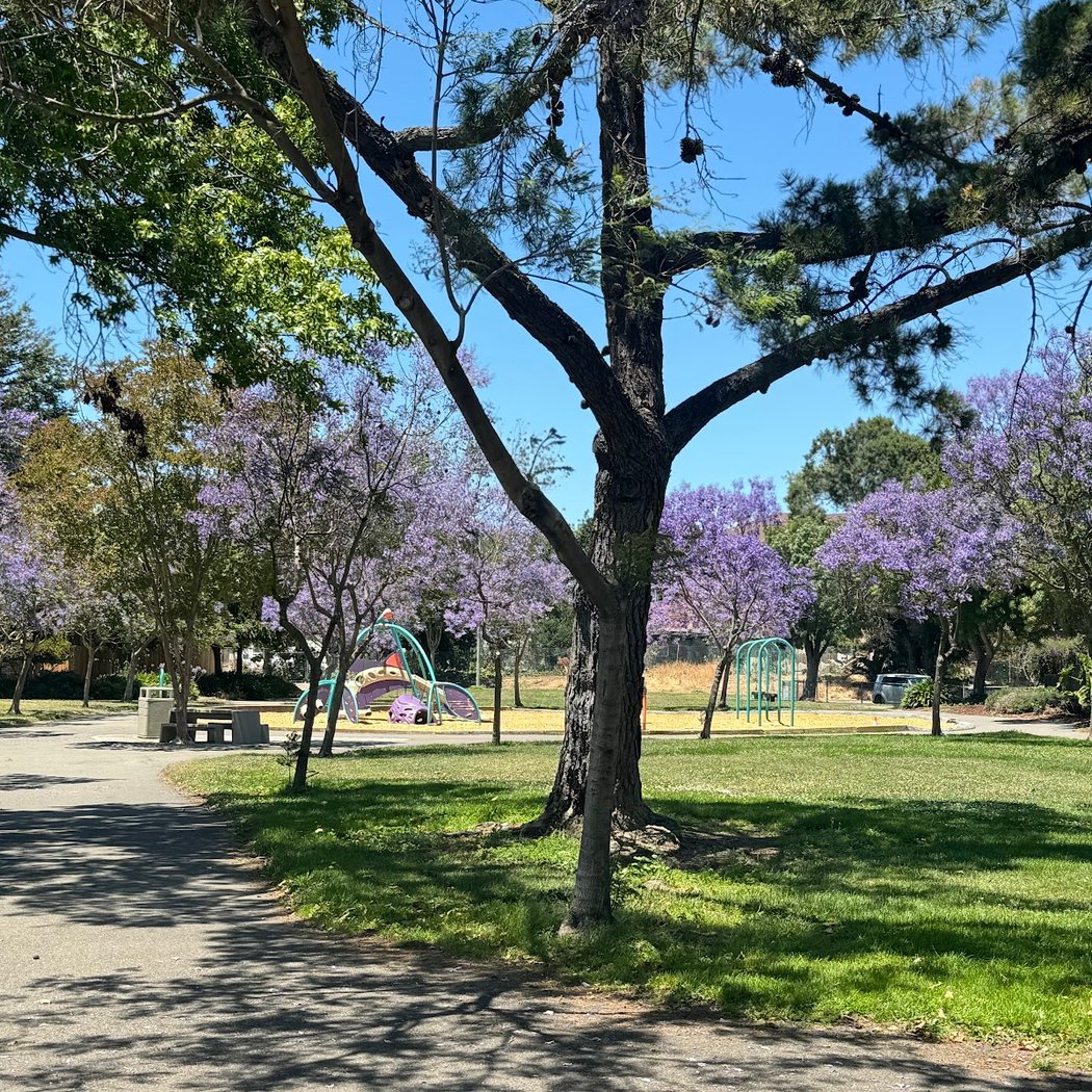 Casa Verde Park 1