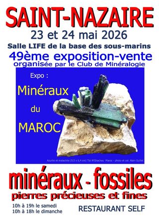 49ème exposition - vente minéraux - fossiles - pierres précieuses et fines 1
