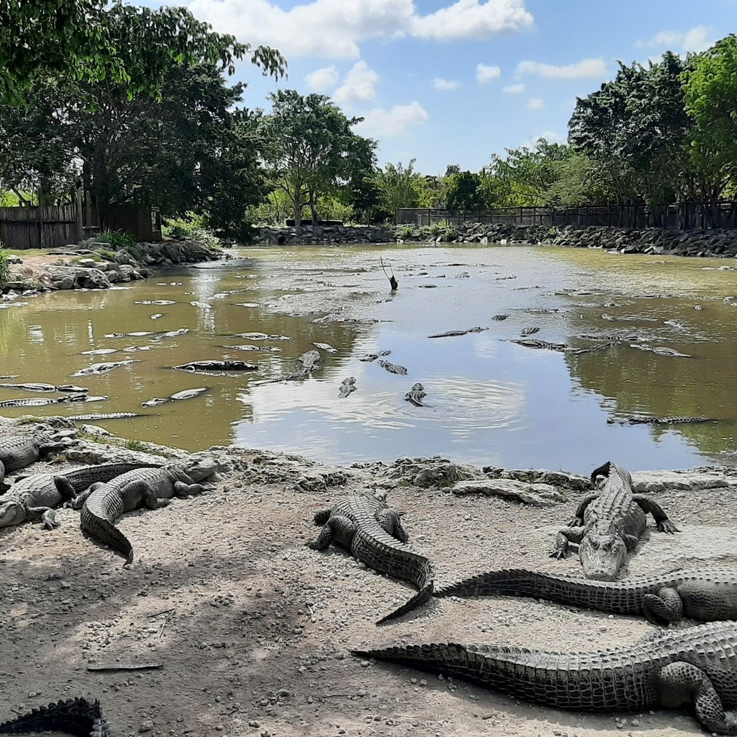 Fall for the Everglades 3