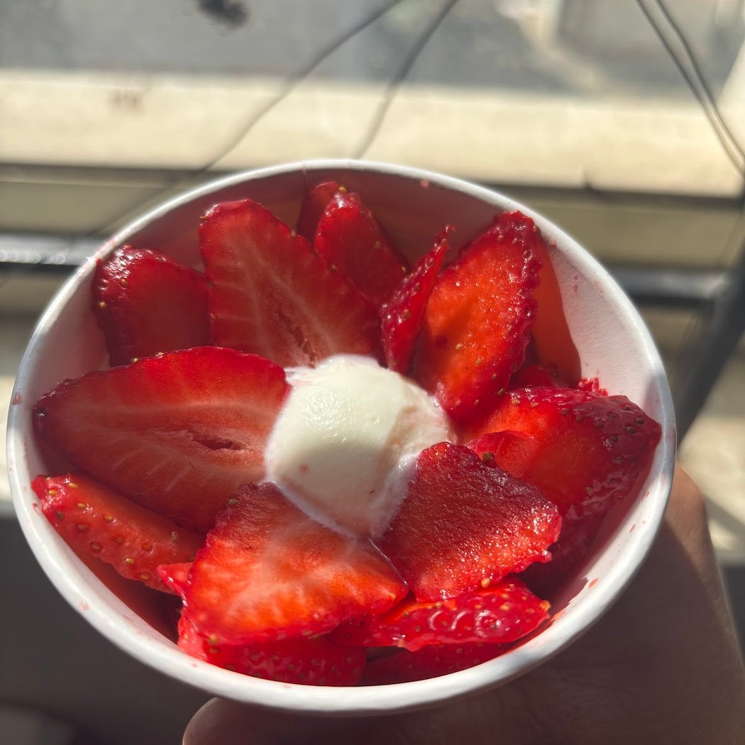 Naturals Ice Cream 1