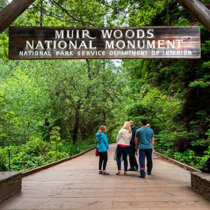 Muir Woods & Sausalito: Morning Tour 1