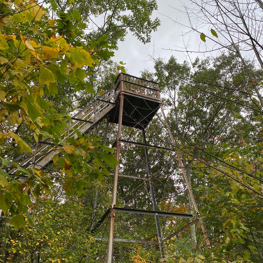 Laura's Tower Trail 2