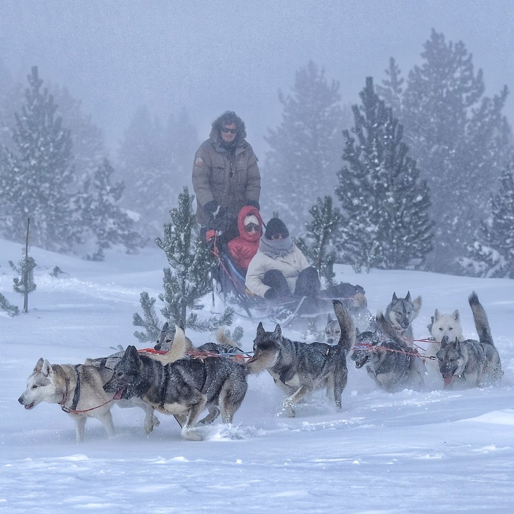 Les traineaux de la vallée des ours 1
