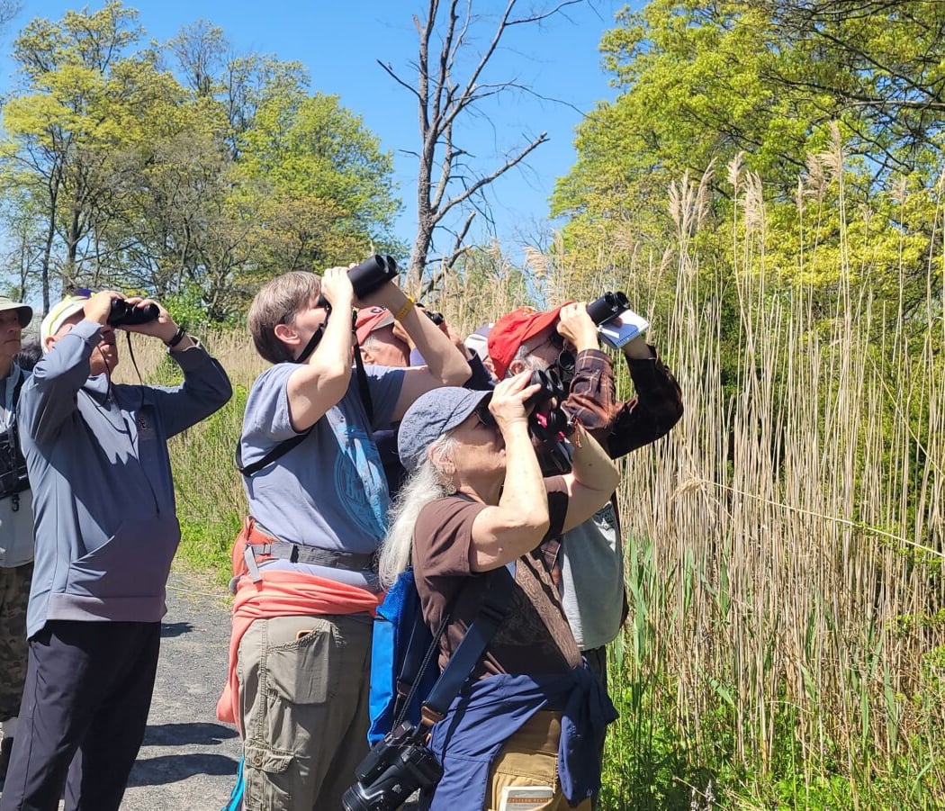 Bird and Nature Walk 2