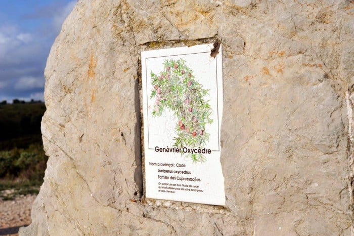 Sentier de la Batarelle 3