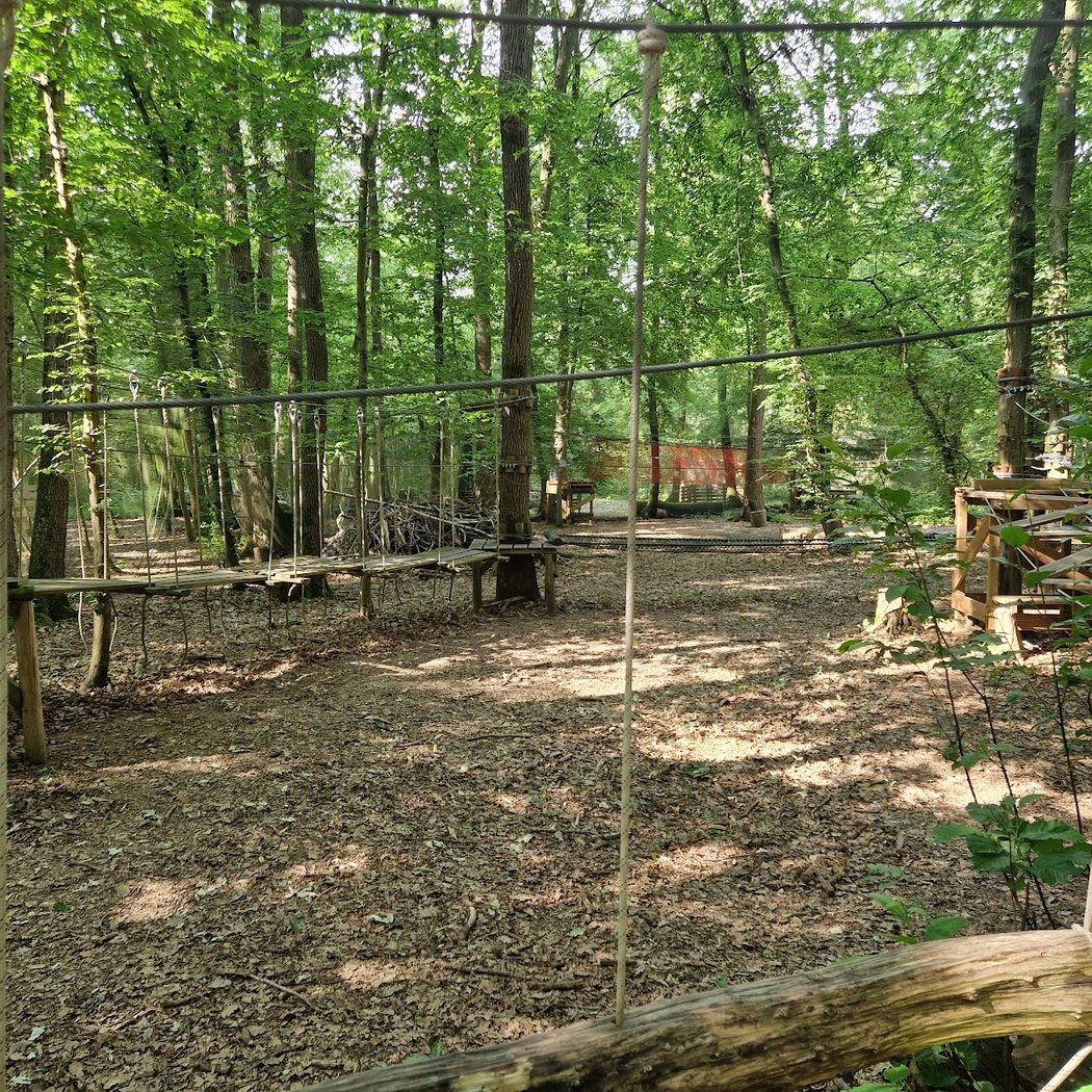 Forest Arena | Parc de loisirs IDF | Accrobranche 77 3