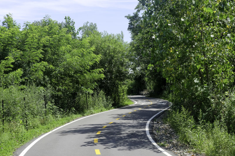 Canarsie Park 1