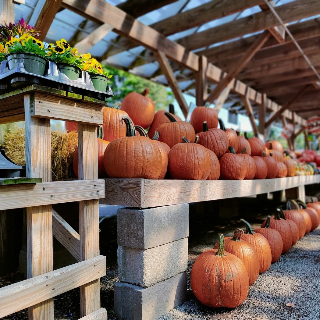 Huntington Village Farmers Market 1