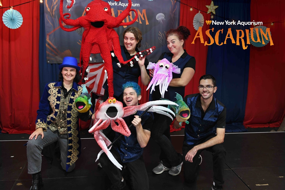 Ascarium 1