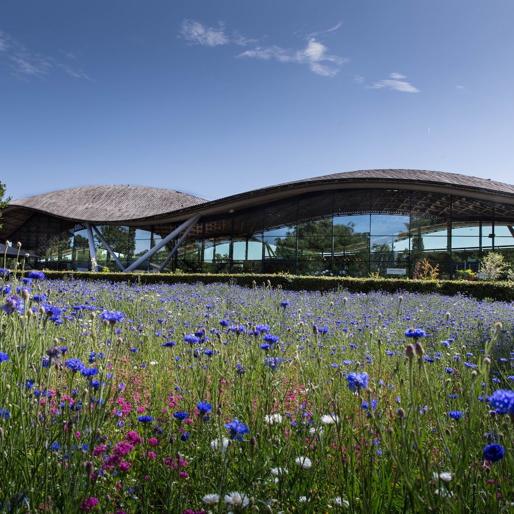 The Savill Garden 2