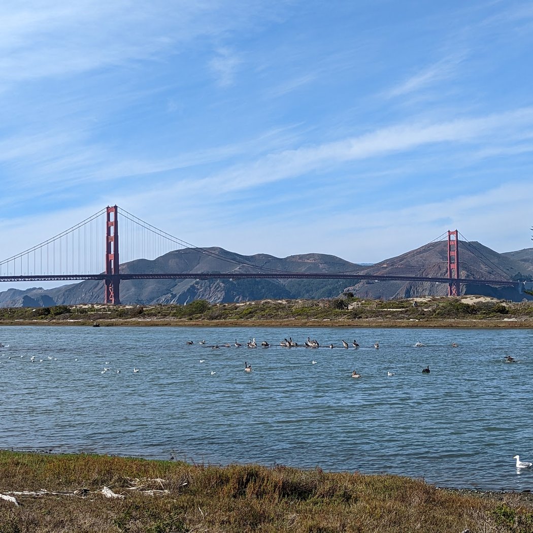 Crissy Field Marsh 2