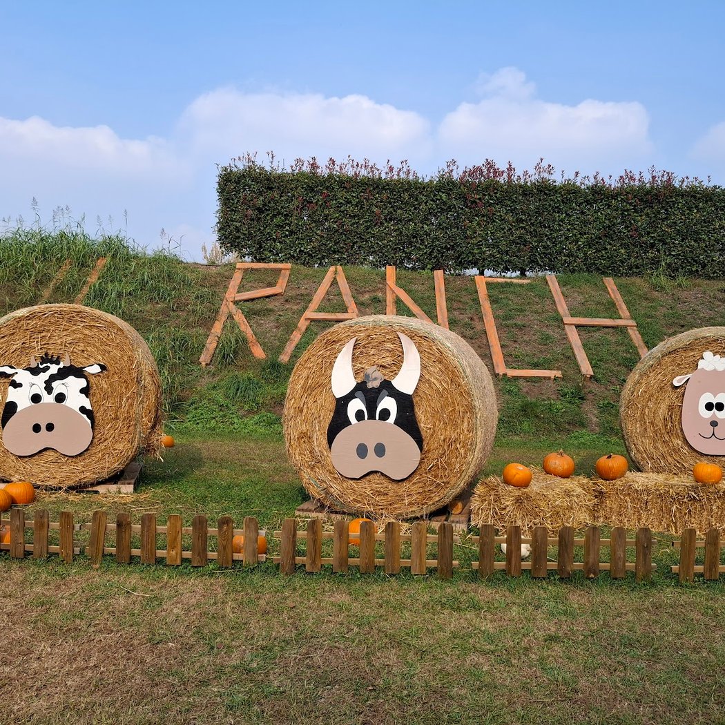 Il Ranch 3