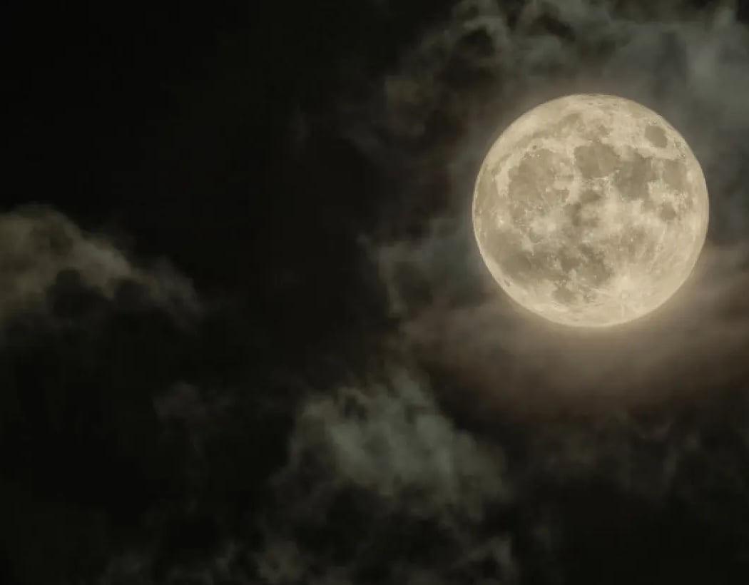 Full Moon Nights