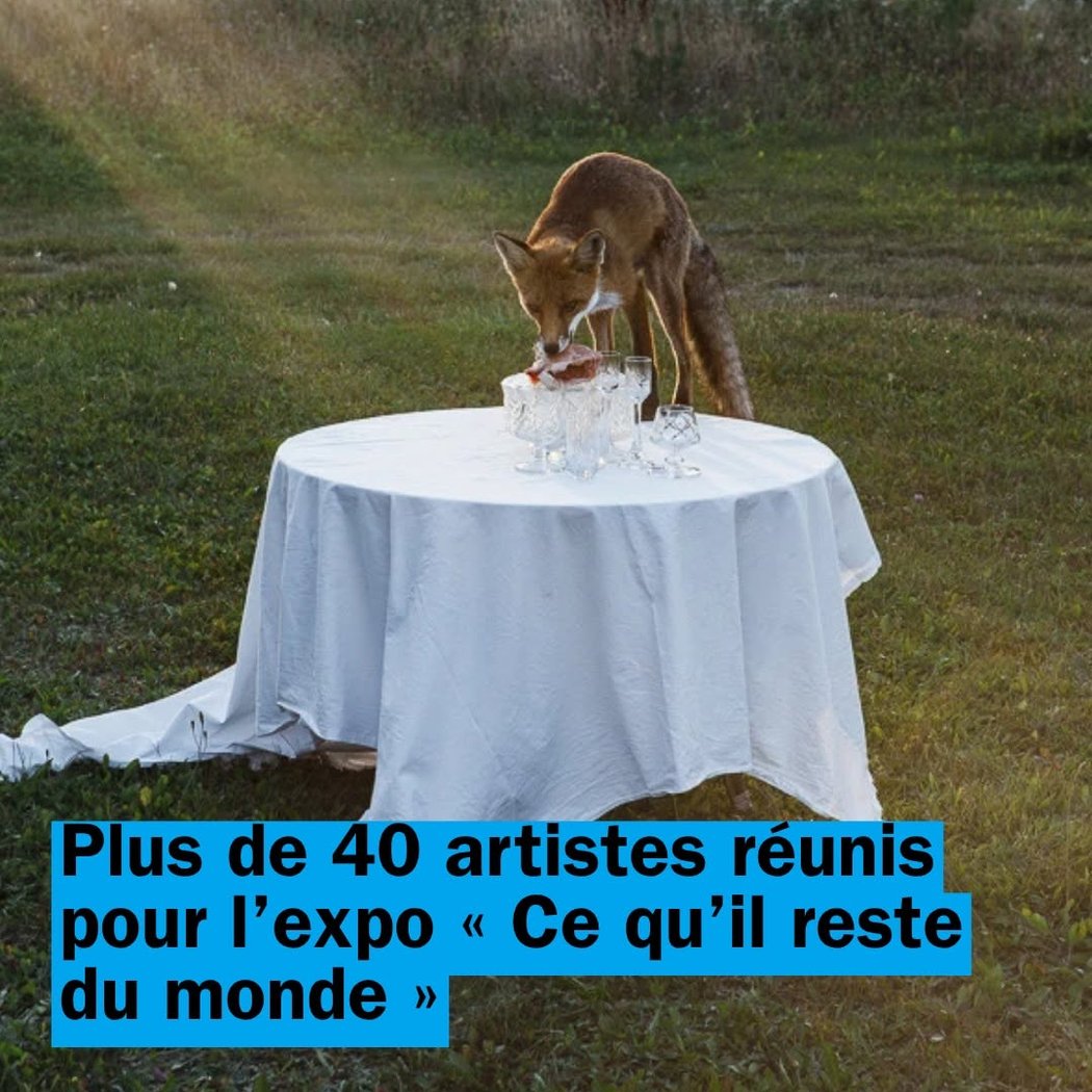 Ce qu'il reste du monde 1