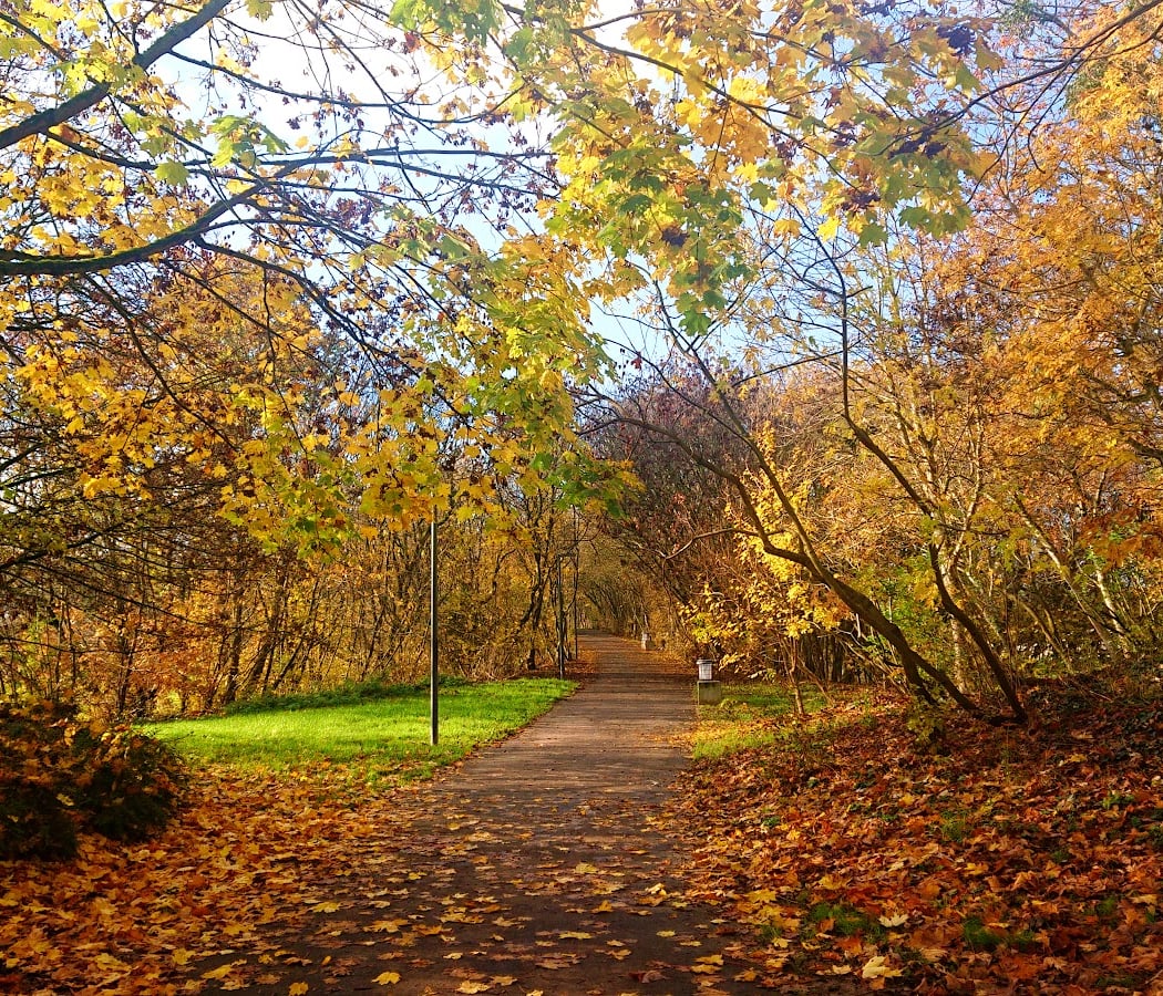 Parc Henri Fabre 1