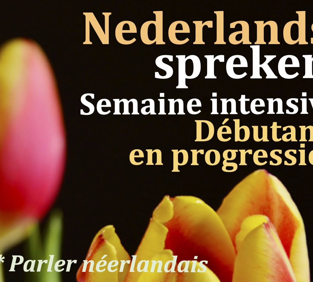 Semaine intensive de cours en présentiel, néerlandais pour débutants en progression