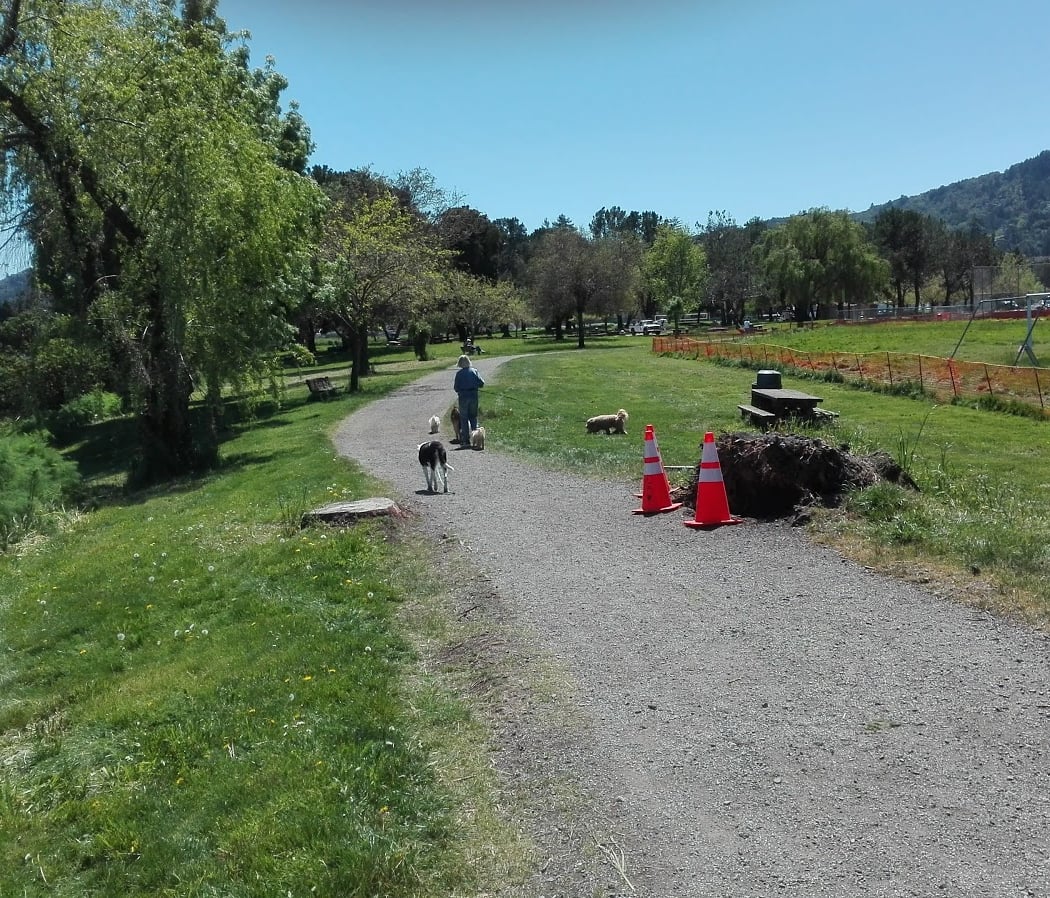 Piper Park 2