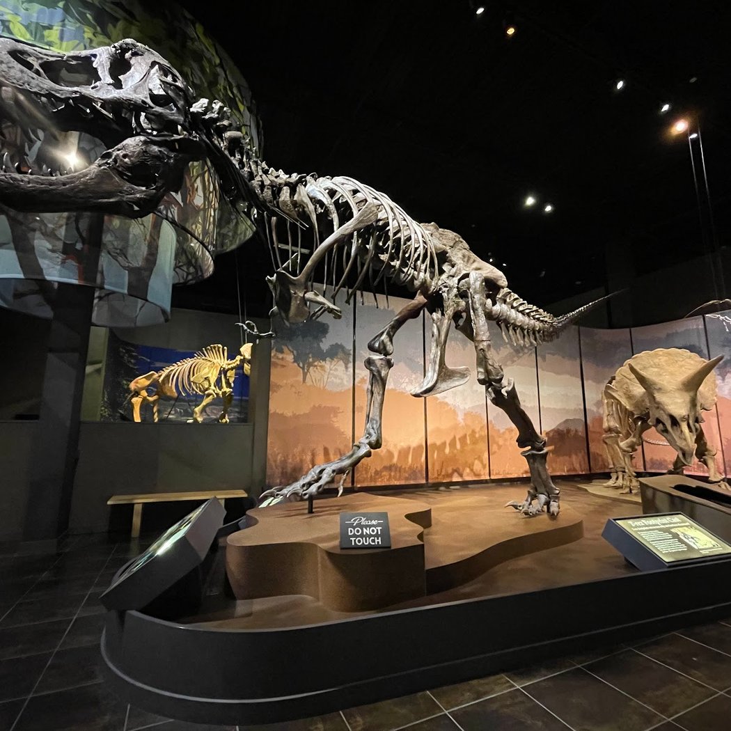 Tellus Science Museum 3