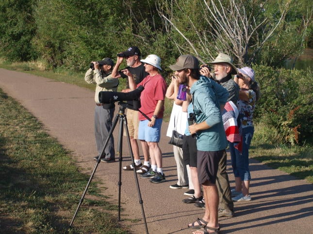 Weekly Bird Walk at JPL 2