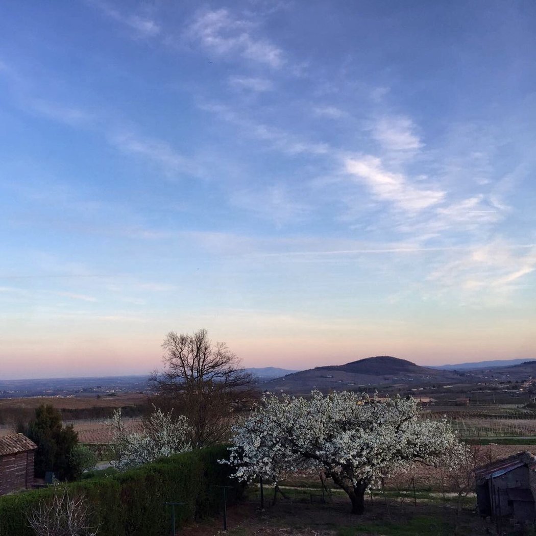 Domaine Chapel 1